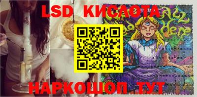 ешки Волгодонск