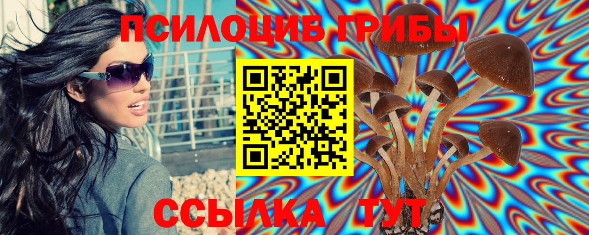 Рубцовск  Псилоцибиновые грибы Psilocybine cubensis  Вход с VPN 